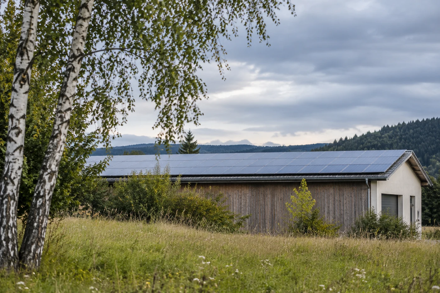 Solarmodule auf einem niedrigen Dach unter bewölktem Himmel neben Birken.